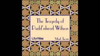 The Tragedy of Puddnhead Wilson Audio Book Tom Stares at Ruin [upl. by Enyrhtak612]