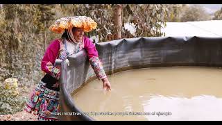 Perú Fomentando la capacidad de las mujeres para afrontar el cambio climático Quispicanchi [upl. by Broek]