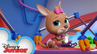 Keira the Kangaroo Profile  TOTS  Disney Junior [upl. by Yeniar]