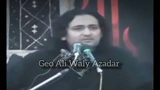 Rahib Shadi nhi krta Phir Moula Hussain na betay kaisy diya   Allama Ali Baqir Naqvi [upl. by Steck]