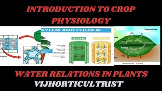 Lecture1 Plant Water Relations  Plant Physiology Life science CSIRNET  BSC MSC [upl. by Onirefes13]