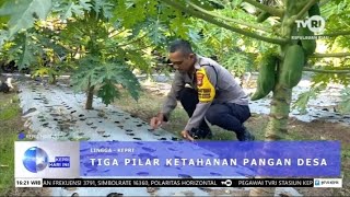 Tiga pilar ketahanan pangan desa [upl. by Anna-Maria]