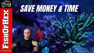 My New Approach To Saltwater Aquariums amp Reefing In 2024 [upl. by Gniliem]