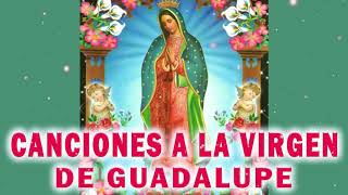 Cantos Para La Virgen De Guadalupe  La Virgen De Guadalupe  Novena A La Virgen De Guadalupe [upl. by Annej]