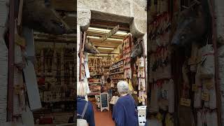 San Gimignano europetravel italytravel sangimignano [upl. by Aennaej]