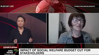 Impact of social welfare budget cut for stakeholders Lisa Vetten [upl. by Jaymee]