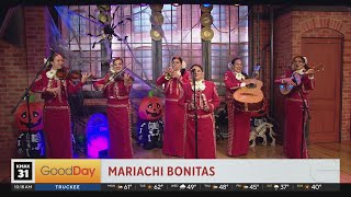 Mariachi Bonitas in studio [upl. by Etnuhs484]