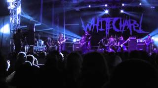 Whitechapel LIVE I Dementia  Brutal Assault Czech Republic 2013 [upl. by Cyprian55]