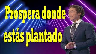 Prospera donde estás plantado Joel Osteen 2024 [upl. by Sair]