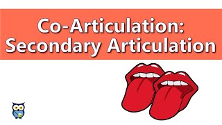 CoArticulationː Secondary Articulation [upl. by Harlan]