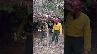 Adventures of a Wildland Firedog Shoe Fly Fire [upl. by Erehpotsirhc863]