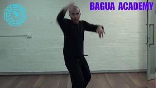 Bagua Throws amp Applications  Sean Kavanagh [upl. by Downe]