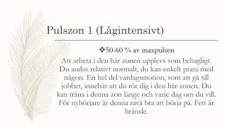 Kondition Puls amp Pulszoner  Träningslära 1 [upl. by Button]