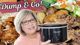 AMAZING 5 Ingredient DUMP AND GO Crockpot Recipes That Will Blow Your Mind 🤩 [upl. by Candra358]