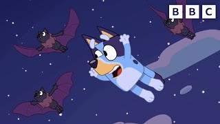 Bluey the Fruit Bat  CBeebies [upl. by Luanni]