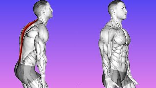 Straighten Up Effective Exercises for Spinal Alignment [upl. by Witty]