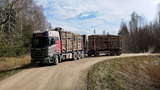 Loading aspen pulpwood Loglift 96s Scania R500 timbertruck [upl. by Simson]