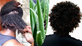 CABELO CRESPO 4B4C Finalização com GEL DE BABOSA  ALOE VERA [upl. by Buffum]