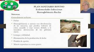 Plan Sanitario para Enfermedades Infecciosas Hemoglobinuria Bacilar [upl. by Ettedo448]