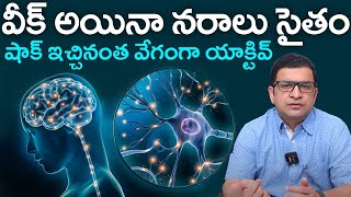 వీక్ అయినా నరాలు సైతం  Nerves Active Food  How to Avoid Nerve Weakness  Dr Movva Srinivas [upl. by Leidgam368]