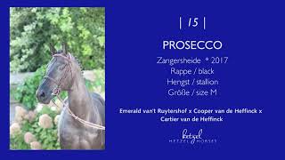 15  Prosecco Emerald vant Ruytershof x Cooper van de Heffinck  HH Sport Horse Sales 2024 [upl. by Aivart]