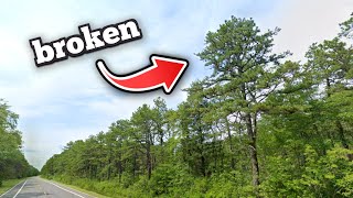 This pine tree is OP in Geoguessr [upl. by Haym]