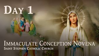 Day 1 Immaculate Conception Novena 2023 St Alphonsus de Liguori part 1 [upl. by Demahum]