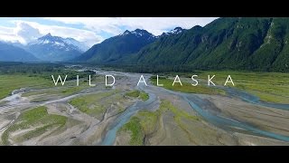 Wild Alaska [upl. by Meehyr615]