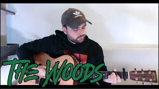 Hollow Coves  The Woods Acoustic Cover [upl. by Ainyt]