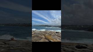 Walking at Clovelly Beach Sydney Music andrejvolanickij yellowflowers clovellybeach [upl. by Manus]