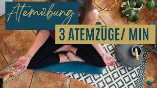 3 Atemzyklen pro Minute I reduzierte Atmung I Atemübung mit reduzierter Atmung I Buteyko Atemübung [upl. by Higginbotham]