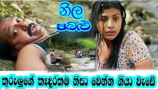 නීල පබළු neela pabalu  episode 1546 Sirasa tv live today [upl. by Nida]