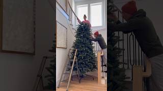 Set up our 12 foot tall Christmas tree with us 🎄 christmas holidays christmastree [upl. by Jobie]