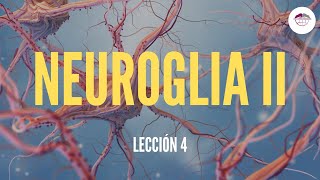 4 NEUROGLIA II FISIOLOGÍA DEL SISTEMA NERVIOSO [upl. by Gerlac517]