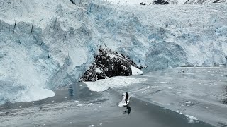 600ft Tall Calving Glacier causes Tsunami Wave for Surfers Below [upl. by Gleich668]