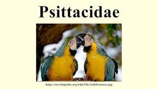 Psittacidae [upl. by Nered]