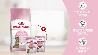 Your sterilised kitten has different cat food needs  Royal Canin India Sterilised Kitten [upl. by Shenan]