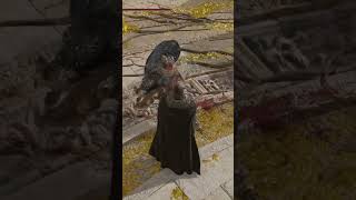 Claws of Night are really fun Top Tier Elden Ring Colosseum PvP [upl. by Bottali]