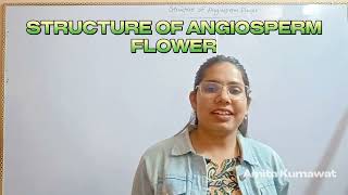 microspore and megaspore of angiospermsbiology neet 2024 neetaspirants amita kumawat [upl. by Dickinson94]