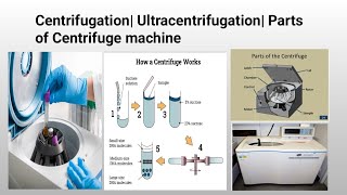 Centrifugation Ultracentrifugation Cell Fractionation [upl. by Atiuqram]