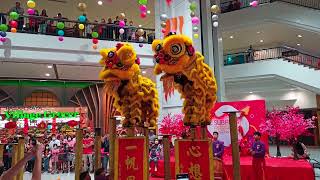 Subang Parade  Acrobatic Lion Dance [upl. by Sadira]