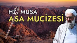 ASA MUCİZESİ  Hz Musa as  Peygamberler Tarihi [upl. by Genovera]