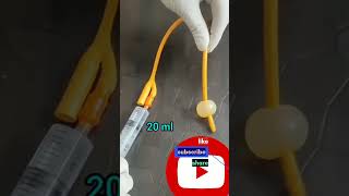 foleys catheter urinaycatheter shortsvideo mbbs nursing [upl. by Windy]