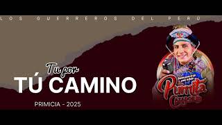 TÚ POR TU CAMINO  PUMITA CAZADOR  PRIMICIA 2025 [upl. by Aenet365]