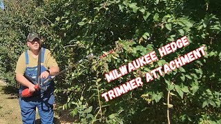 Is this Milwaukee hedge trimmer attachment worth buying Watch and see for yourself [upl. by Sibylla4]