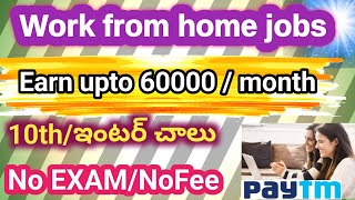 paytm recruitmentWork from home jobs in paytmPermanent Work from home jobs Paytm Work from home [upl. by Hall324]