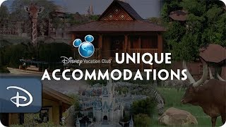 5 Unique Disney Vacation Club Accommodation Options [upl. by Marissa]