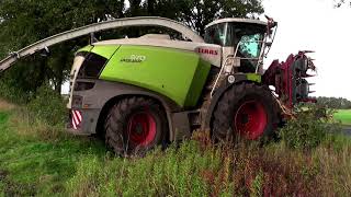 Shredlage  Häckseln 2021 mit mal wieder Claas Jaguar 970 u Kemper 375 Plus Schneidwerk [upl. by Aihtyc]