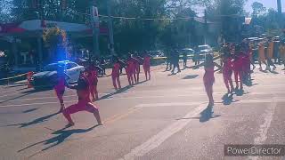 Miles College Golden Stars Homecoming Parade Highlights  vs Allen University [upl. by Chipman]