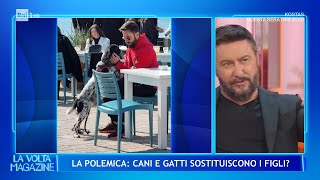 La polemica Cani e gatti sostituiscono i figli  La Volta Buona 26092024 [upl. by Zzabahs]